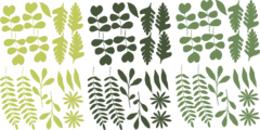 Pack de hojas capella verde en internet