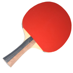 KIT PING PONG 2 PALETAS 3 PELOTAS en internet