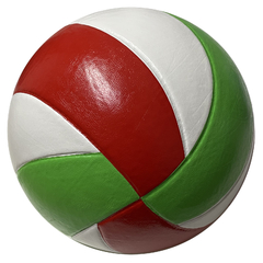 Pelota Voley N5 Vulcanizada Quuz Volley - comprar online