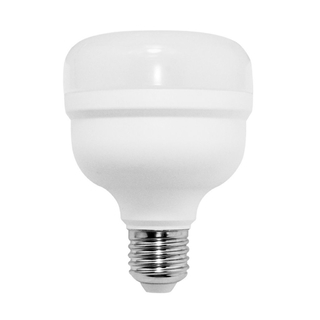Lâmpada LED Bulbo T 50w 6500k LP 30616
