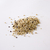 Semillas de Trigo Sarraceno (para germinar) - comprar online