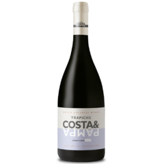 Costa & Pampa Pinot Noir - comprar online