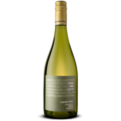 PUNTO FINAL RESERVA CHARDONNAY