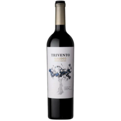 TRIVENTO GAUDEO SINGLE VINEYARD - TUNUYÁN