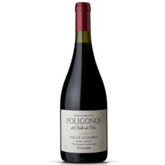 Zuccardi Polígonos Paraje de Altamira Malbec Magnum