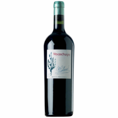 Yacochuya Malbec 2016 MAGNUM