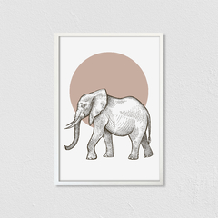 África Elefante