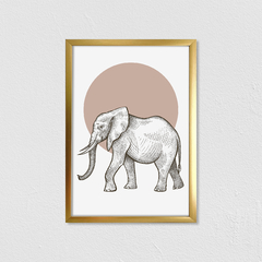 África Elefante - comprar online