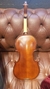 Violin De Estudio Stradella Mv141114 Natural 1/4 Con Estuche B-STOCK - comprar online