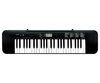 Teclado Casio Ctk245 49 Teclas 100 Tonos 100 Ritmos