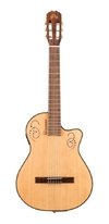 Guitarra La Alpujarra 300kec Fishman Ink Natural Mate