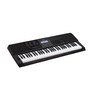 Teclado Casio Ctx800 Sensitivo 5/8 61 Teclas