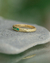 Anillo de Compromiso | Amazonas - comprar online