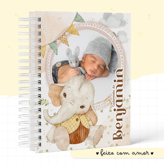 Caderneta de Saúde Baby Elefante Afetivo - Menino - comprar online
