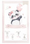 Caderneta de Saúde Tema Panda Baby - Menina - comprar online