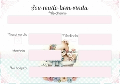 Livro do Bebê Tema Ursinha Mimosa - Menina - Papel & Paixão Scrapbook