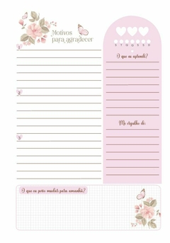 Caderno de Gratidão Coleção Especial Mãe - comprar online