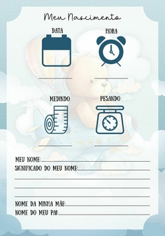 Caderneta de Saúde do Bebê Ursinho Aviador - Menino - comprar online