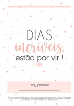 Simple Planner Permanente 2 - comprar online