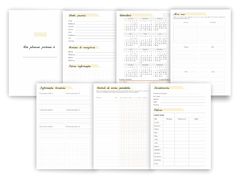 Planner Financeiro Neutro / Masculino - comprar online