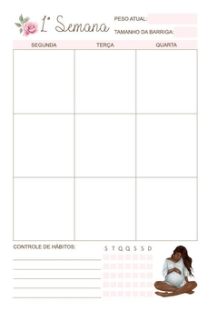 Imagem do Planner da Gestante Aquarela Neutra - Capa 2