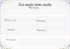 Livro do Bebê Tema Ursinha Princesa Azul e Rosa - Menina na internet