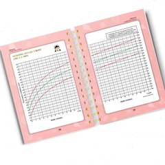 Caderneta de Saúde Bailarina - Menina - Papel & Paixão Scrapbook