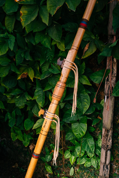 Flauta nativa drone Dm no - Flauta Sagrada