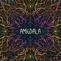 Amigdala