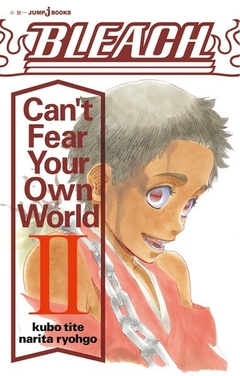 Bleach: Can't Fear Your Own World Vol.2 【Light Novel】 『Encomenda』