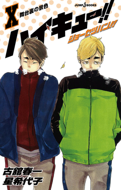 Haikyuu!! Shousetsu-ban!! Vol.10 【Light Novel】 『Encomenda』