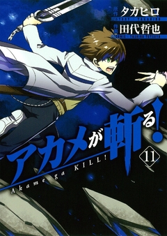 Akame ga Kill Vol.11 『Encomenda』