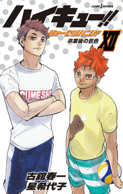 Haikyuu!! Shousetsu-ban!! Vol.12 【Light Novel】 『Encomenda』