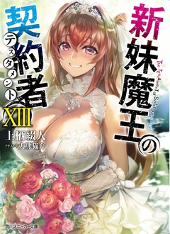 Shinmai Maou no Testament Vol.13 【Light Novel】 『Encomenda』