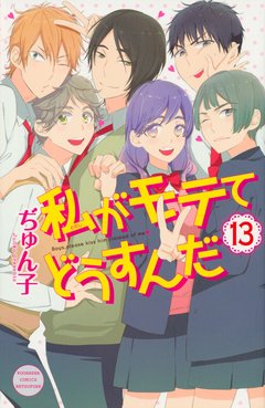 Watashi ga Motete Dousunda Vol.13 『Encomenda』