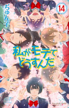 Watashi ga Motete Dousunda Vol.14 『Encomenda』