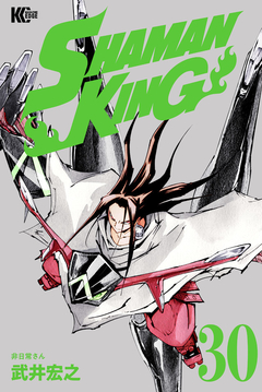 Shaman King Vol.30 『Encomenda』