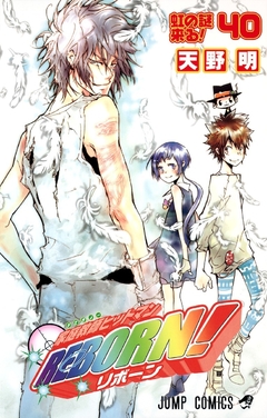 Katekyo Hitman Reborn! Vol.40 『Encomenda』