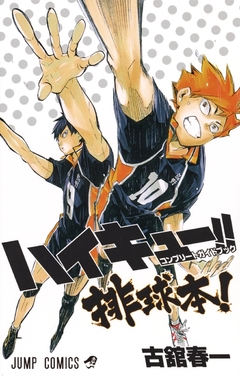 Haikyuu!! Bon (Complete Guide Book) 【Databook】 『Encomenda』