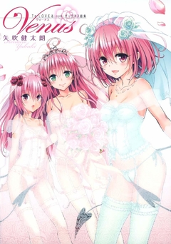 To LOVE-Ru Darkness: Venus 【Artbook】 『Encomenda』