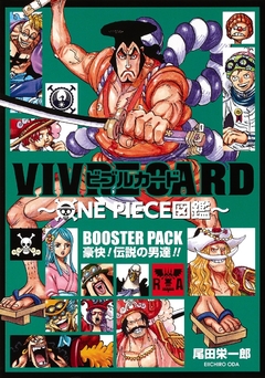 One Piece Zukan - Vivre Card (Gokai - Densetsu no Otoko Tachi) 【Databook】 『Encomenda』