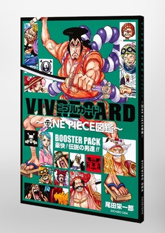 One Piece Zukan - Vivre Card (Gokai - Densetsu no Otoko Tachi) 【Databook】 『Encomenda』 - comprar online