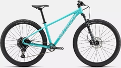 SPECIALIZED ROCKHOPPER EXPERT en internet