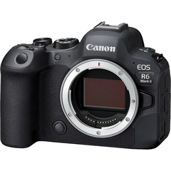 Câmera Canon EOS R6 Mark II + Adaptador de Lentes Canon RF - comprar online