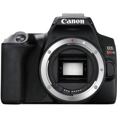 Câmera Canon SL3 Corpo