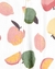 Carter´s Osito-Pijama Micropolar cierre "Frutas" (2O102310) - comprar online