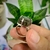 Anel retangular pedra Labradorita com metais banhados a ródio na internet