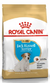 Royal Jack Russell puppy x 3kg