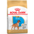 Royal Canin Boxer Junior x 12 kg.