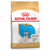 Royal Canin Bulldog Francés Junior x 3 kg. - (Outlet)